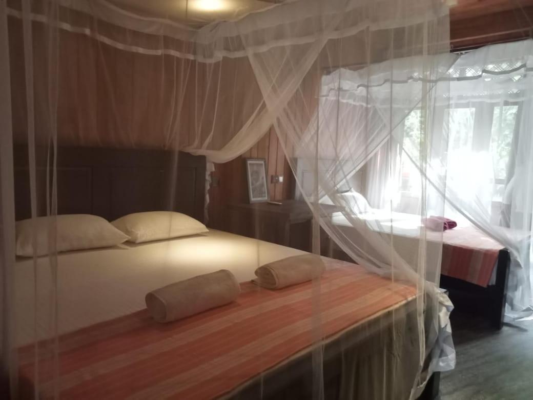 Piumi House Pensionat Dikwella Exteriör bild