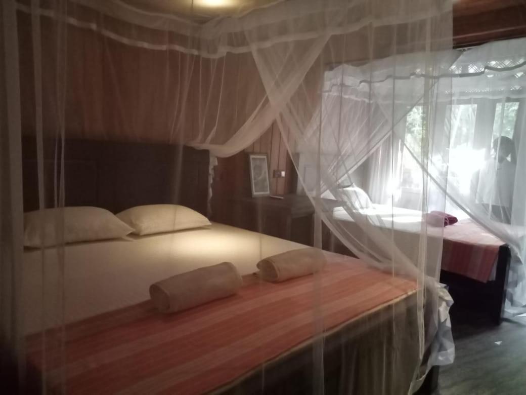 Piumi House Pensionat Dikwella Exteriör bild